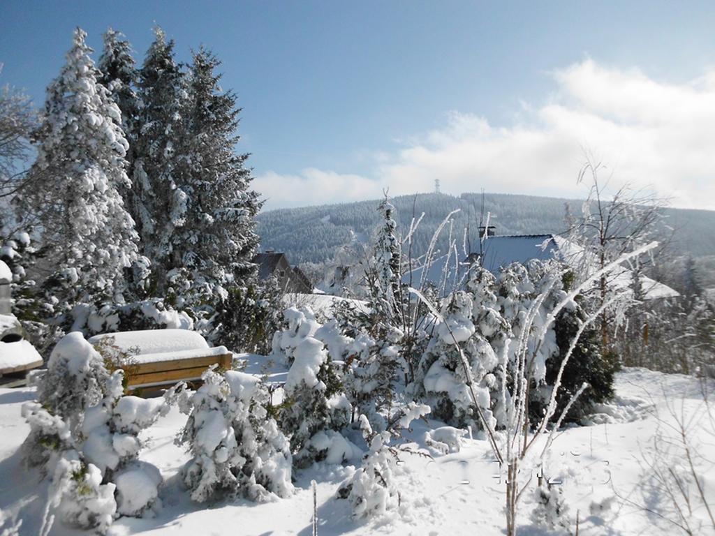 Premium-Ferienwohnungen Bergblick Im Haus Hopfe Goslar Exteriér fotografie