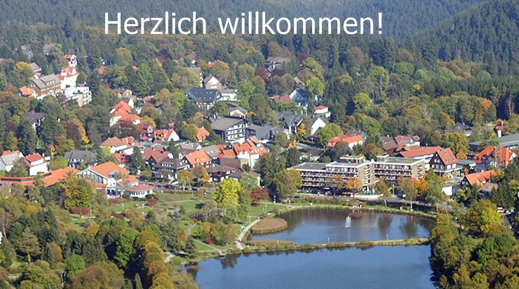 Premium-Ferienwohnungen Bergblick Im Haus Hopfe Goslar Exteriér fotografie